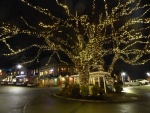 Christmas lights Friday Harbor Dec 2nd