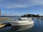 Sunny Sunday in Friday Harbor!