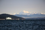 Ferry and Mount Baker