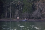 A skiff on the beach at Turn Island