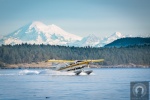 One of Diana's photos, taken from the visitor dock at Friday Harbor