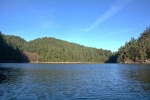 An empty Eagle Harbor on New Years Eve