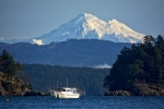 Highlight for Album: New Years 2018 Cypress Island