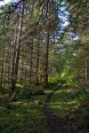 Trail on Cypress leaving Eagle Harbor, heading north