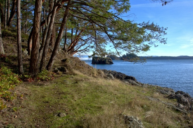 Hiking along the east shore of Cypress Island