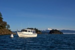 Paddling back out to the boat. A nice breeze from the north to keep things cool!