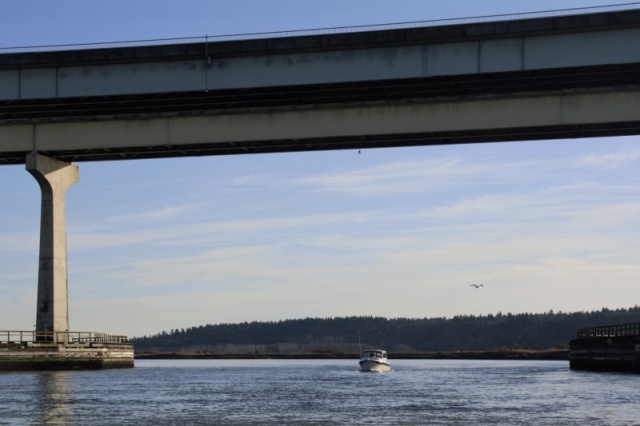 035 - Brock under Twin Bridges