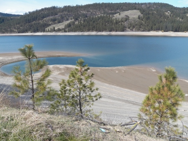 The lake shore near Gifford.  150 feet of mud and 40 feet of elevation to get to vegetation. 