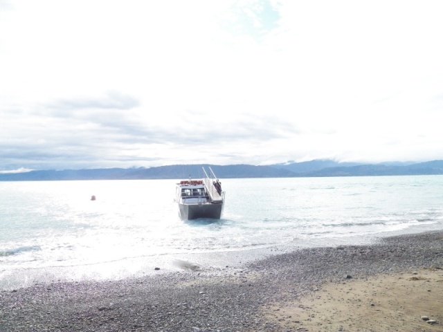 Arriving at Kapiti Is., the boat is run up on the beach and a bow gangway extended.  It is a slick system.