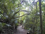 It wasn't really necessary to be sneaky on the trails because the birds were 