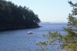 Walking along the lighthouse trail looking out at Active Cove