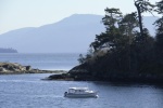 View of Active Cove from Lighthouse Trail on Patos