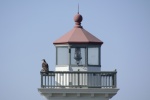 Eagle on the light house