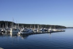 Friday Harbor on Sunday Evening, March 11th