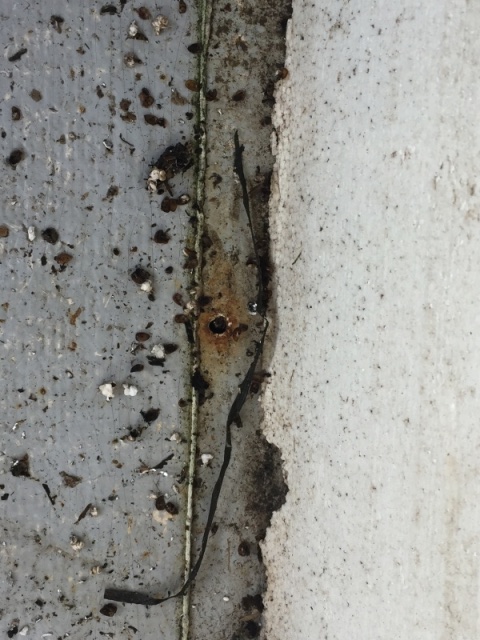 More empty rivet holes with obvious core-rot. Probably have been open for years.