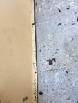 Highlight for Album: Deck repair/replacement
