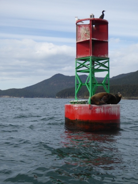 Marker buoy at entrance to Guemes Channel