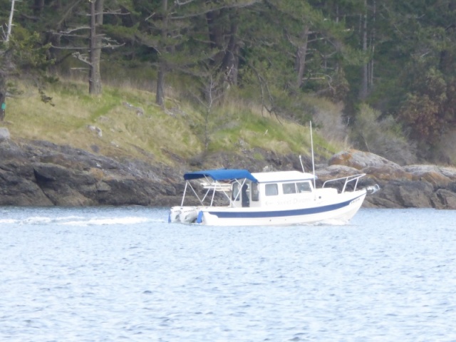 Passing another cruiser on his way from FH to Shaw Island