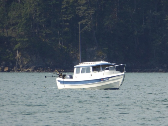Passing another cruiser along Cypress Island who was fishing