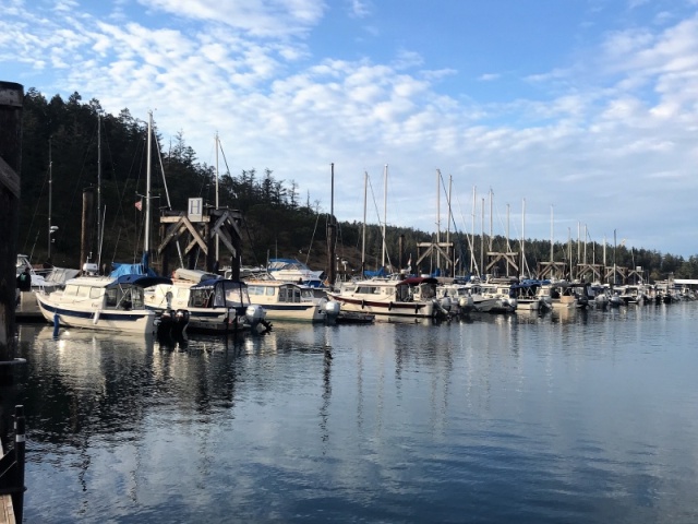 H dock is pretty full of C-Dorys!