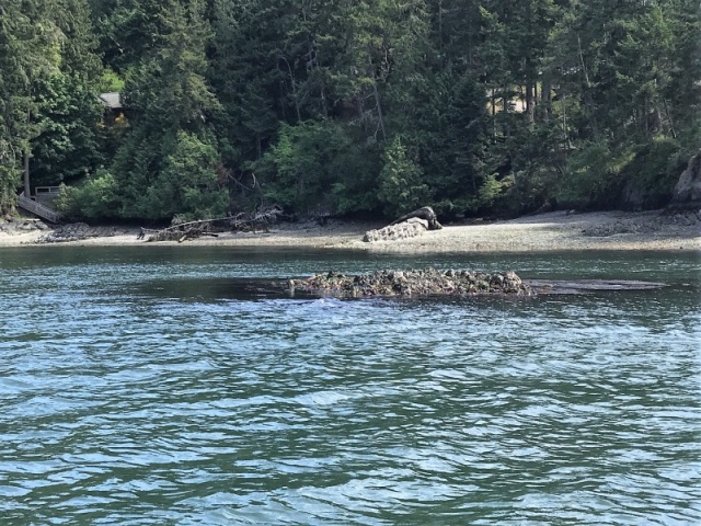 This is the reef I just about caught the bow of my boat on earlier when I was trying to assist a distressed boater the first time I came through this area!