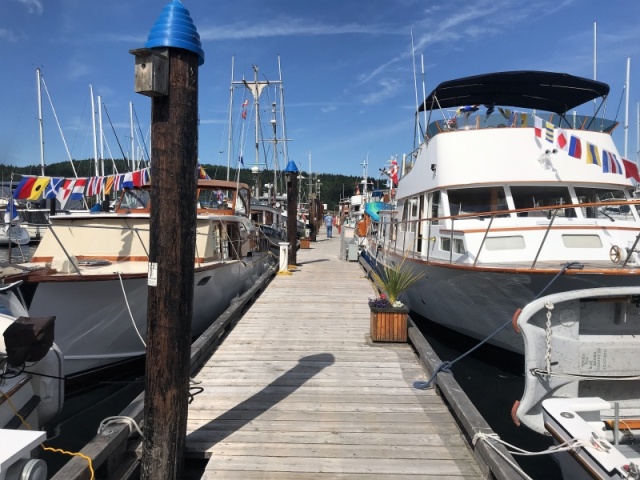 Ladysmith Community Marina was having their Festival Boats Festivity