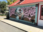 One of the many beautiful Murals in Chemainus