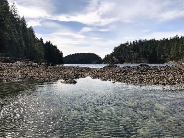 Drying Reef west end of Prideaux Haven