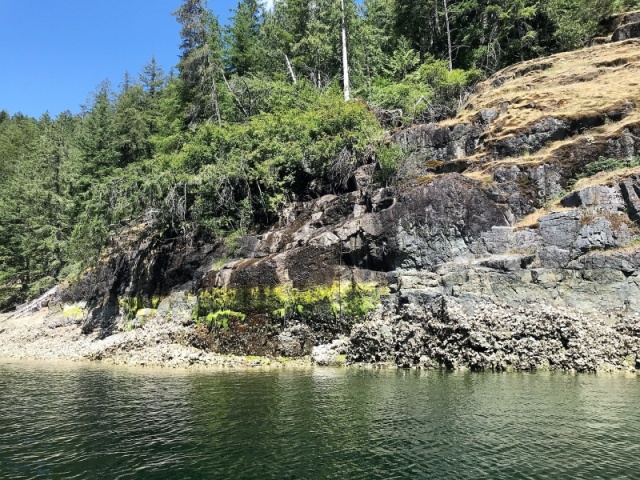 Small waterfall inside of Roscoe inner Cove