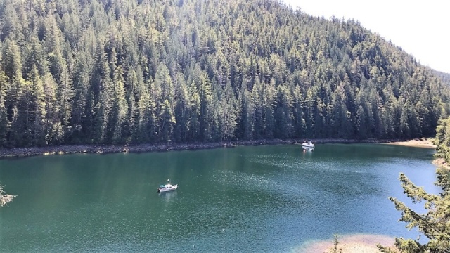 Looking down onto Roscoe Cove from about 500 ft above, on rock outcropping