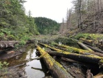 Cassel Lake just above the falls