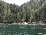 River falls into Toba Inlet