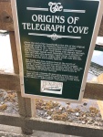 304 Telegraph Cove