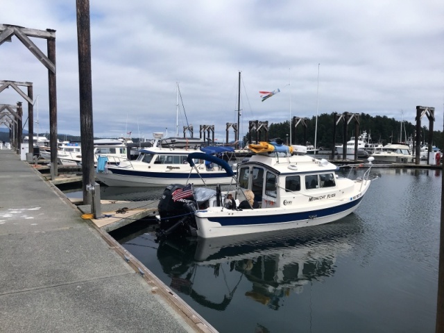 Friday Harbor, a few early birds