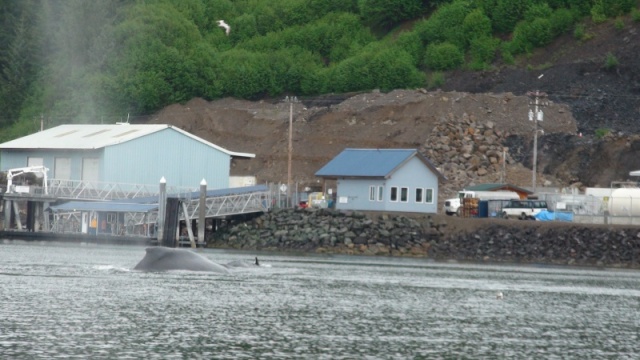 In front of Hoonah fuel dock