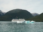 Another cruise ship Endicott Arm.  In early cruises here there we didnt see any cruise ships small or large.