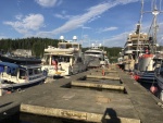 Docked near the mega cruisers at Auke Bay