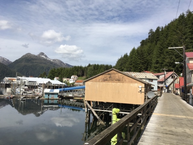 Pelican board walk