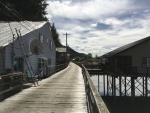 Pelican board walk