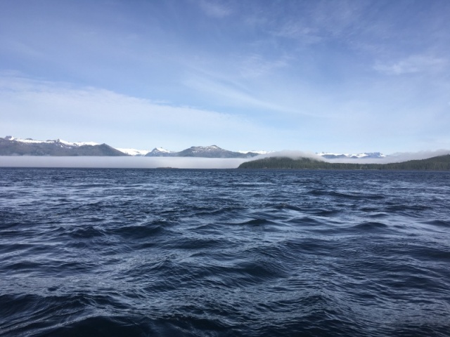 Out of the fog rounding Cape Gardiner South tip of Admiralty Island & dividing Chatham Strait from Fredrick Sound.  This is one of extra  caution advised places