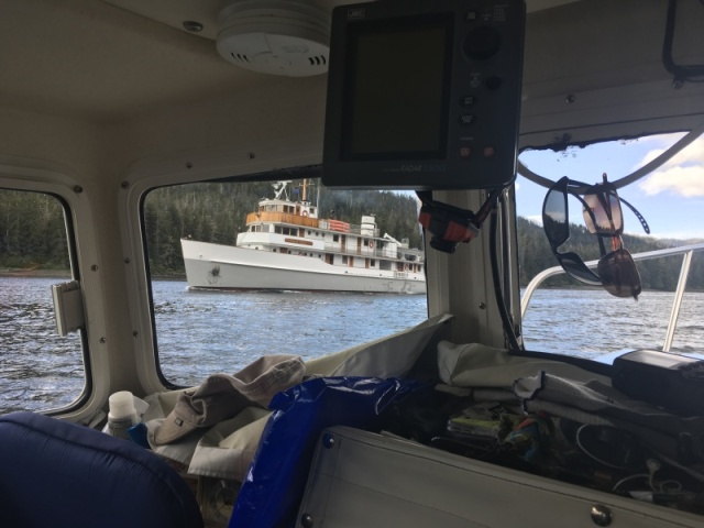 Meeting mini cruiser in Whitestone Narrows on run from Sitka to Piehle Passage & the Gulf of Alaska waters.