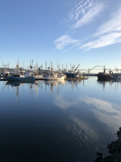 Newport Fishing Fleet