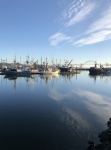 Newport Fishing Fleet