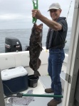 10 1/2 lb Lingcod 
(using the pictured herring we caught this spring)