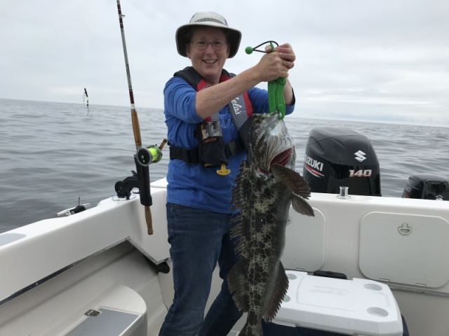 12 3/4 lb Lingcod