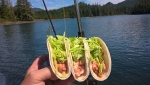 Taco Tuesday.  Fish tacos, of course.