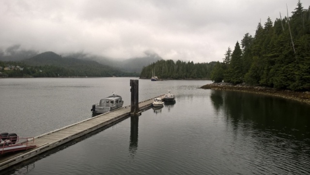 A couple days later, I went to Hot Springs Cove.  I hadn't been there since 1998.  The dock had the same number of boats as before, but beware.  Both the boats and the float planes run a rotation by bringing people in and picking up a prior load of tourists.  Even with watching for an opening like this, there were still +20 people at the pools.  And the planes make two passes.  Once to see if it's clear and once to land.  So the picture is a little deceptive.