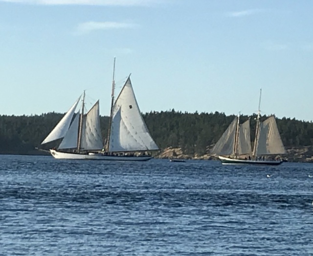 4 - Friday Harbor - 2 Schooners