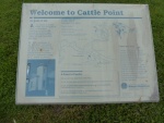 Cattle Point information