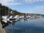 Friday afternoon back at the marina, more boats have arrived